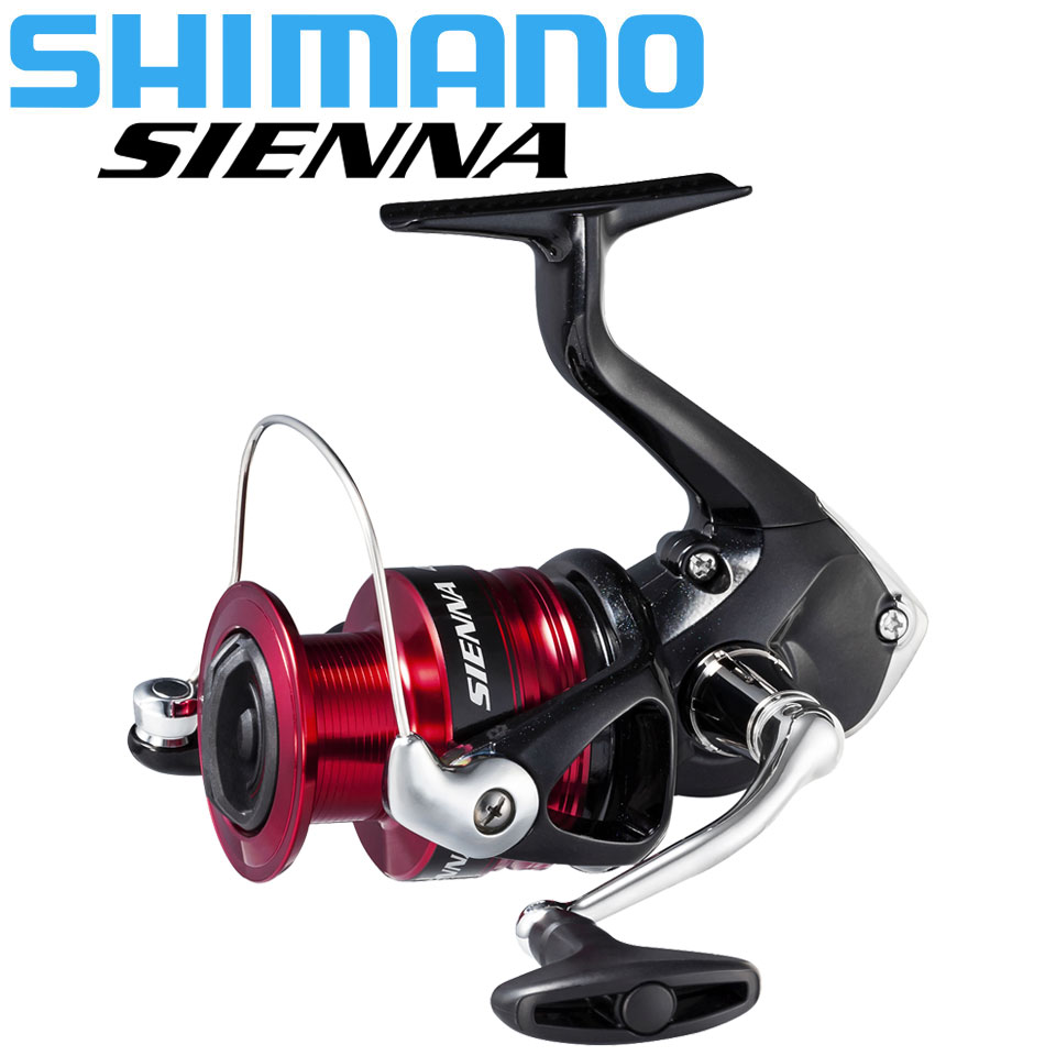 Daiwa Reel Bg - シマノ シエナ スピニング フィッシング リール AR-C